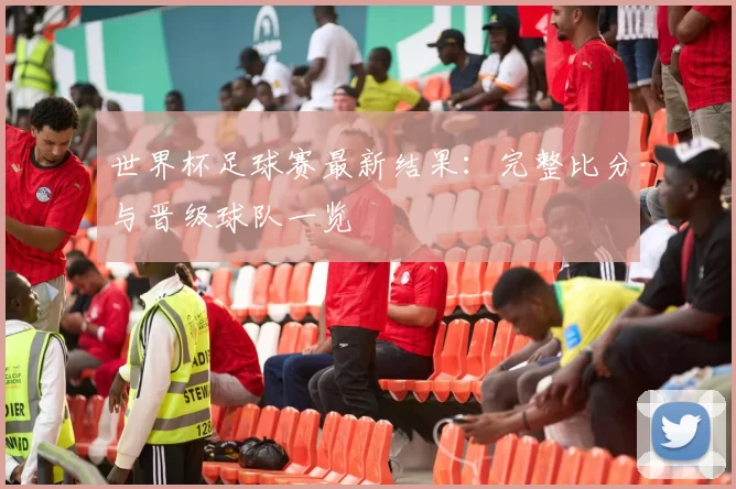 世界杯足球赛最新结果：完整比分与晋级球队一览