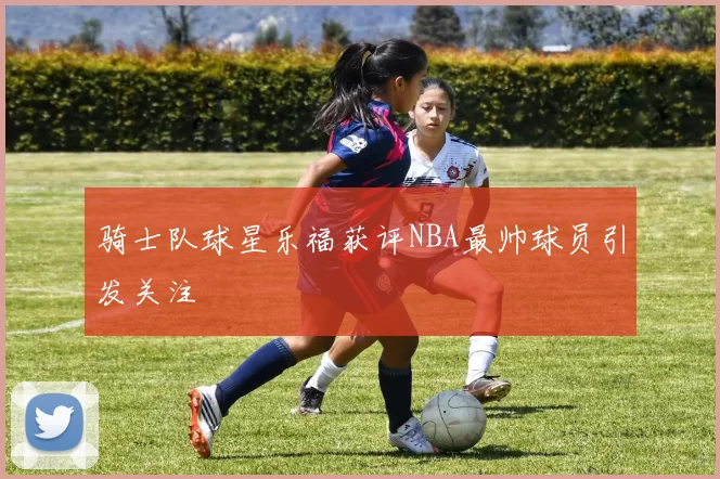 骑士队球星乐福获评NBA最帅球员引发关注
