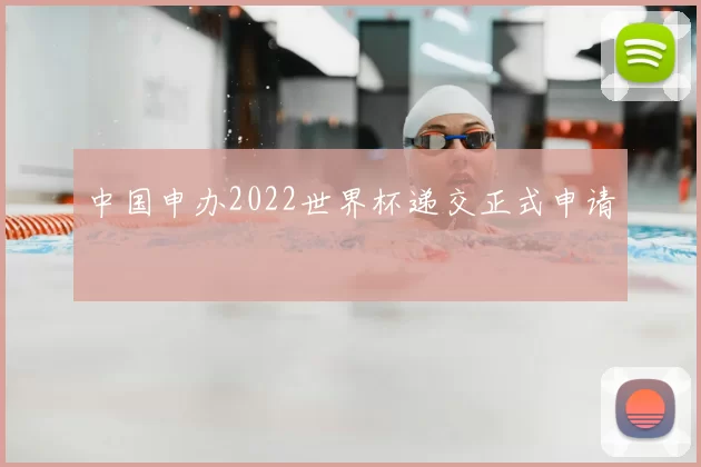 中国申办2022世界杯递交正式申请