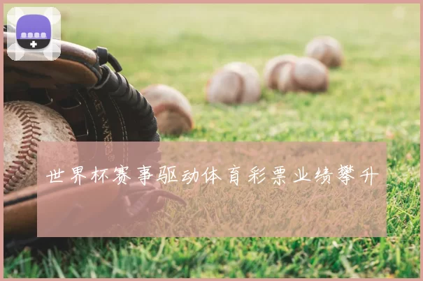 世界杯赛事驱动体育彩票业绩攀升