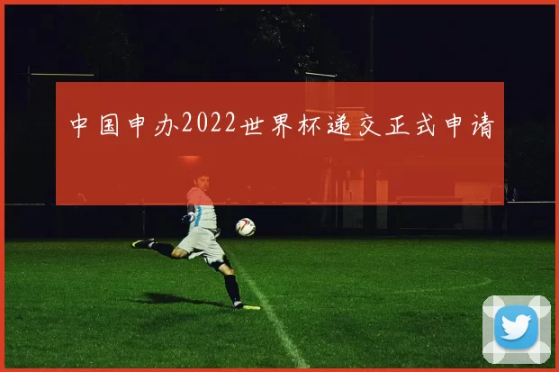 中国申办2022世界杯递交正式申请