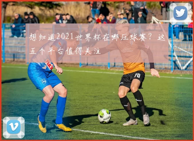 想知道2021世界杯在哪压球赛？这五个平台值得关注