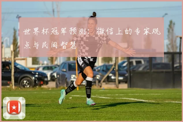 世界杯冠军预测：微信上的专家观点与民间智慧