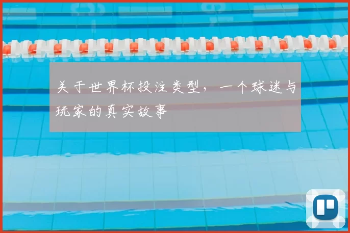 关于世界杯投注类型，一个球迷与玩家的真实故事
