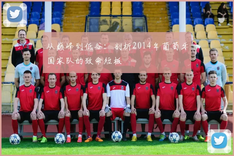 从巅峰到低谷：剖析2014年葡萄牙国家队的致命短板