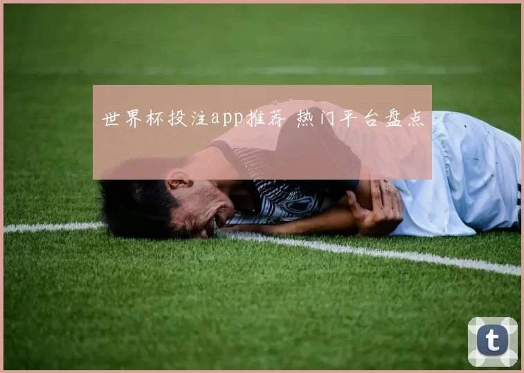 世界杯投注app推荐 热门平台盘点
