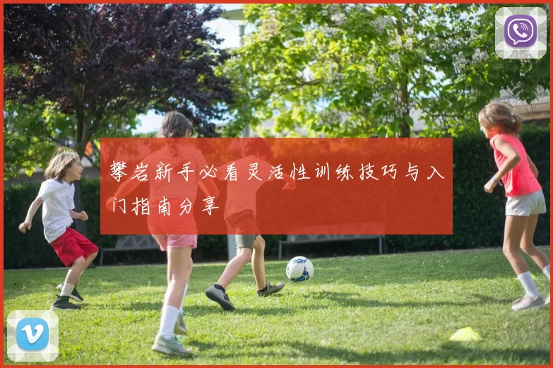 攀岩新手必看灵活性训练技巧与入门指南分享