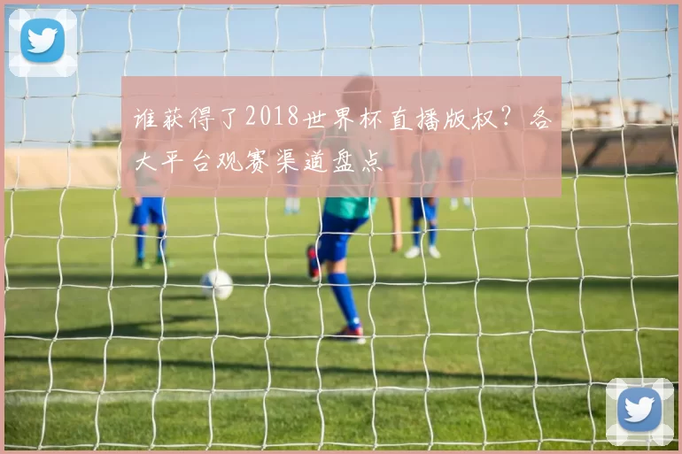 谁获得了2018世界杯直播版权？各大平台观赛渠道盘点