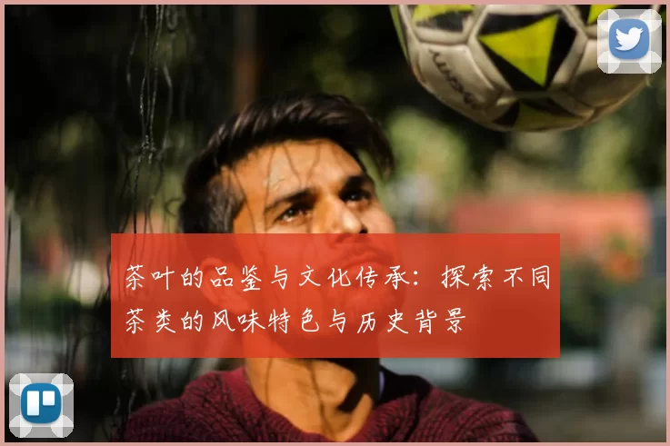 茶叶的品鉴与文化传承：探索不同茶类的风味特色与历史背景