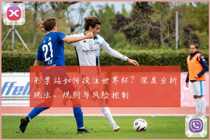 彩票站如何投注世界杯？深度分析玩法、规则与风险控制