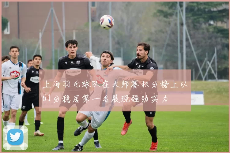 上海羽毛球队在大师赛积分榜上以61分稳居第一名展现强劲实力