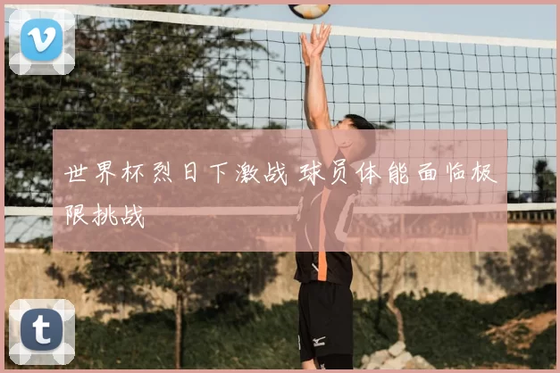 世界杯烈日下激战 球员体能面临极限挑战