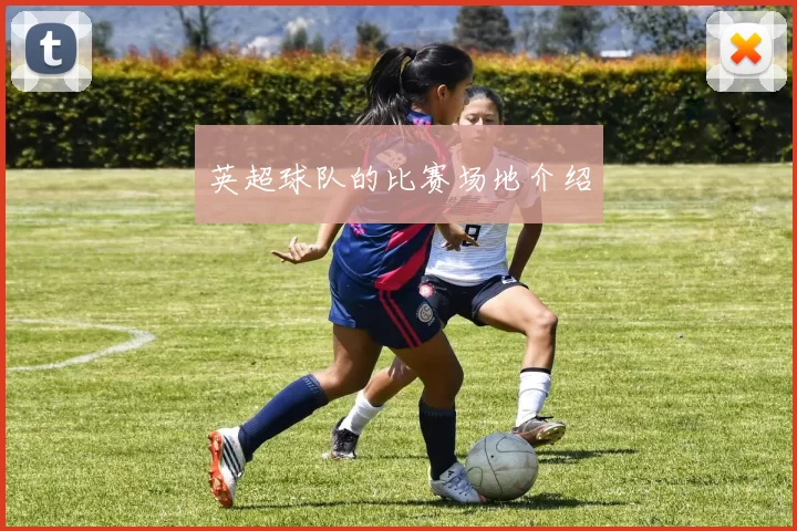英超球队的比赛场地介绍