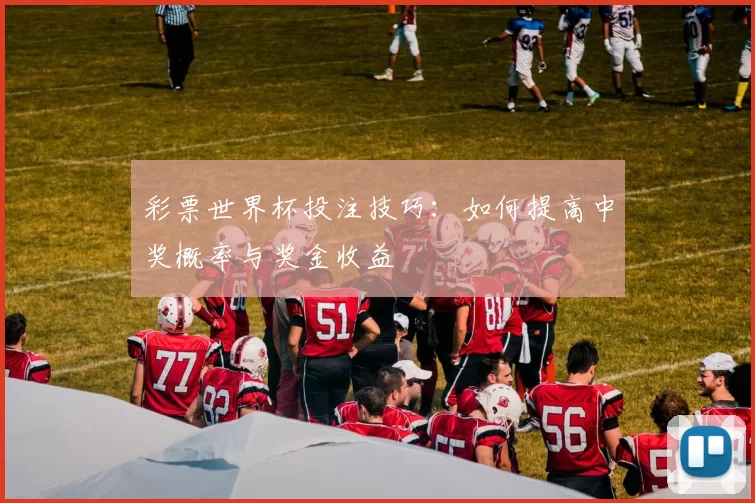 彩票世界杯投注技巧：如何提高中奖概率与奖金收益